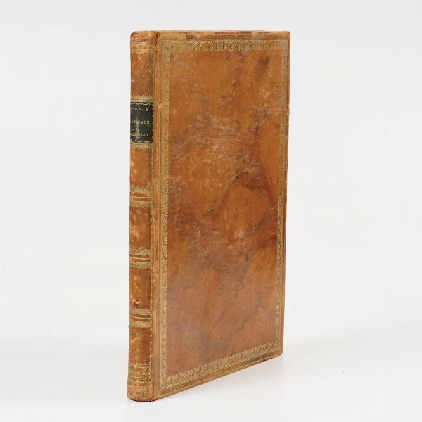 N.H. Jacob-Luigi Rados Storia naturale delle scimie... Milano Ferdinando Artaria 1812  - Asta Libri antichi e rari, Stampe, Vedute e Mappe - Associazione Nazionale - Case d'Asta italiane