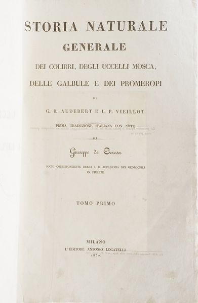 G.B. Audbert e L.P. Viellot- Giuseppe De Seresa Storia naturale generale dei colibr, degli uccelli mosca, delle galbule e dei promeropi... Tomo I... Milano, Antonio Locatelli, 1830  - Asta Libri antichi e rari, Stampe, Vedute e Mappe - Associazione Nazionale - Case d'Asta italiane