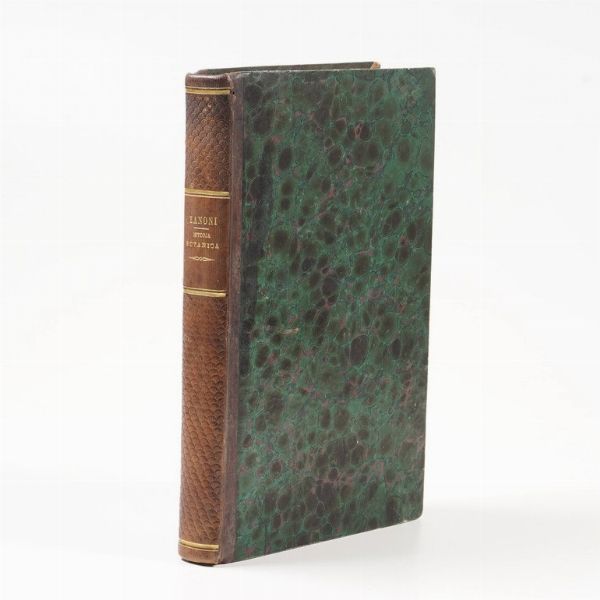 Giacomo Zanoni Istoria botanica di Giacomo Zanoni semplicista, e sopraintendente all'horto publico di Bologna... Bologna presso Gioseffo Longhi, 1675  - Asta Libri antichi e rari, Stampe, Vedute e Mappe - Associazione Nazionale - Case d'Asta italiane