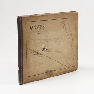 Mann Alexander Gnats and other hindraces to the successful accomplishment of landscape painting... London, Fine art society, 1884  - Asta Libri antichi e rari, Stampe, Vedute e Mappe - Associazione Nazionale - Case d'Asta italiane