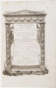 N.H. Jacob-Luigi Rados Storia naturale delle scimie... Milano Ferdinando Artaria 1812  - Asta Libri antichi e rari, Stampe, Vedute e Mappe - Associazione Nazionale - Case d'Asta italiane