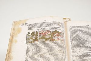 Foresti, Giacomo Filippo (1434-1520) Cronicha de tuto el mondo uulgare. Impresso nella inclita Citta di Venetia : per me Bernardino Rizo de Nouara, 1491 adi 8 de Octobrio  - Asta Libri antichi e rari, Stampe, Vedute e Mappe - Associazione Nazionale - Case d'Asta italiane