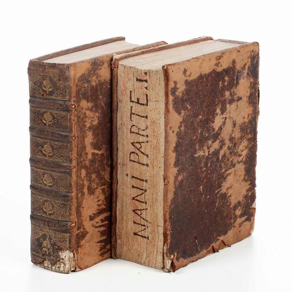 Battista Nani : Battista Nani Historia della Repubblica Veneta...Terza impressione, in Venezia per Combi e La No�, 1676-1679. Parti I e II  - Asta Libri Antichi - Associazione Nazionale - Case d'Asta italiane