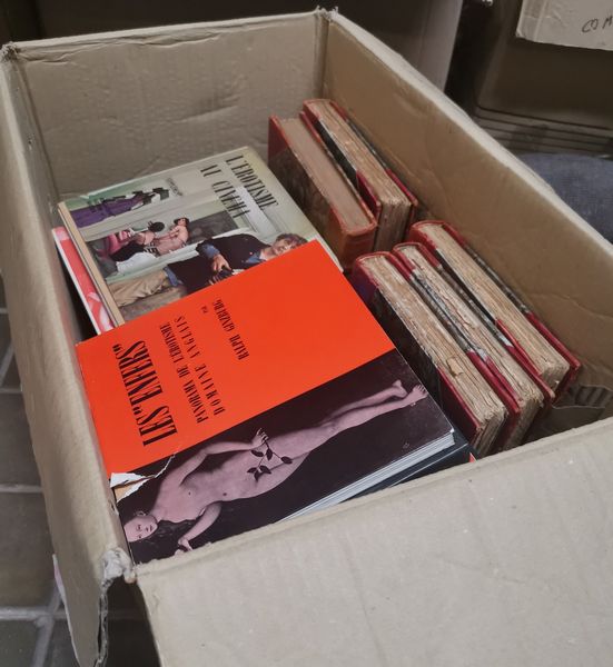 Libri erotici e galanti Raccolta di 34 libri di argomento licenzioso in edizione del sec XX.  - Asta Libri Antichi - Associazione Nazionale - Case d'Asta italiane