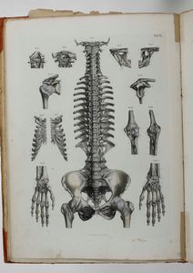 C.E. Bock Atlanti di anatomia dell'uomo. Traduzione italiana autorizzata sulla sesta edizione originale. Seconda edizione. Napoli, presso Riccardo Marghieri 1877  - Asta Libri Antichi - Associazione Nazionale - Case d'Asta italiane