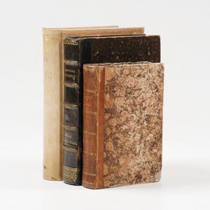 Denis Ferdinand Brasile, Venezia, Antonelli, 1838  - Asta Libri Antichi - Associazione Nazionale - Case d'Asta italiane