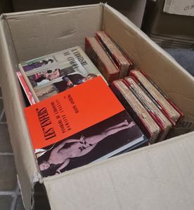 Libri erotici e galanti Raccolta di 34 libri di argomento licenzioso in edizione del sec XX.  - Asta Libri Antichi - Associazione Nazionale - Case d'Asta italiane