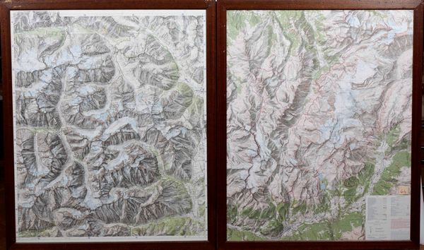 Savoia - Carte topografiche moderne Due grandi cartine riguardanti la zona montana dell'alta Savoia...Francia II met sec. XX  - Asta Stampe, Vedute e Carte Geografiche - Associazione Nazionale - Case d'Asta italiane