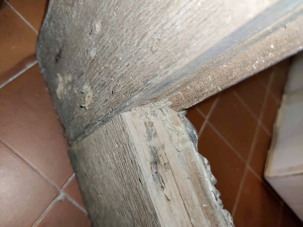 Cornice in legno intagliato, laccato e dorato. Marche XVIII secolo  - Asta Cornici Antiche - Associazione Nazionale - Case d'Asta italiane