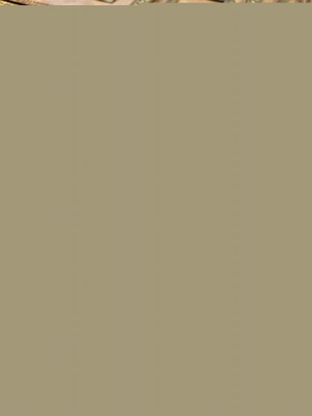 Cornice guilloch in legno intagliato ed ebanizzato. Fiandre XVIII secolo  - Asta Cornici Antiche - Associazione Nazionale - Case d'Asta italiane