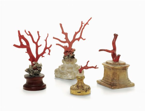 Lotto di quattro coralli su basi in legno e marmo  - Asta Una Nobile Dimora Fiorentina - Associazione Nazionale - Case d'Asta italiane