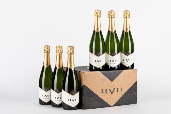 Italia : Levii Brut 2020 (12 BT)  - Asta Vini e Distillati - Associazione Nazionale - Case d'Asta italiane