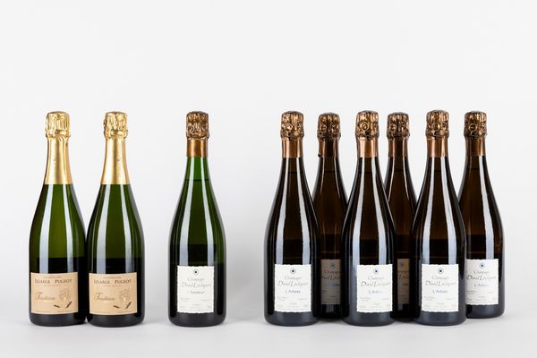 FRANCIA : Selezione Champagne (9 BT)  - Asta Vini e Distillati - Associazione Nazionale - Case d'Asta italiane
