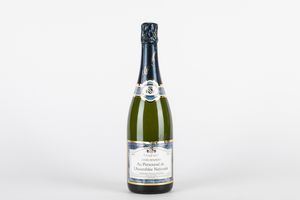 FRANCIA - Champagne Trujillo-Pottevin Brut