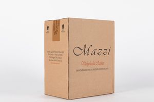 Italia - Mazzi Valpolicella Classico 2021 (6 BT)