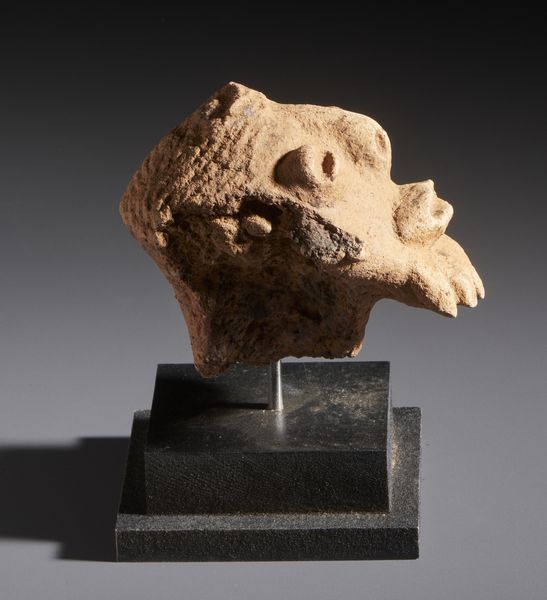 Komaland - Ghana : Nello stile di Frammento di testa antropomorfa in terracotta con base  - Asta Asta 444 | AFRICA, OCEANIA E AMERICHE - ARTIGIANATO AFRICANO: VARI COMMITTENTI E SELEZIONE DALLA COLLEZIONE BARTOLOMUCCI Online - Associazione Nazionale - Case d'Asta italiane