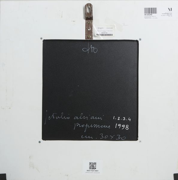 ALVIANI GETULIO (n. 1939) : PROGRESSIONE 1,2,3,4, 1998  - Asta Asta 445 | ARTE MODERNA E CONTEMPORANEA - SELECTED Online - Associazione Nazionale - Case d'Asta italiane