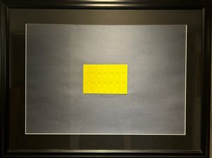 Turi Simeti - 21 Ovali gialli