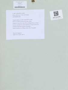 NOBUYOSHI ARAKI : Senza titolo  - Asta Asta di Arte Moderna e Contemporanea - Associazione Nazionale - Case d'Asta italiane