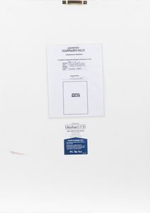 Gianfranco Salis : Ilona Staller  - Asta Fotografia: Unveiled Beauty - Associazione Nazionale - Case d'Asta italiane