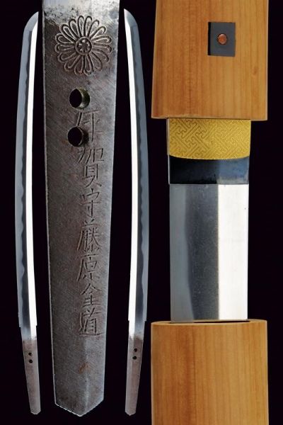 Wakizashi in shirasaya  - Asta Rare Armi Antiche e Armature da Tutto il Mondo - Associazione Nazionale - Case d'Asta italiane