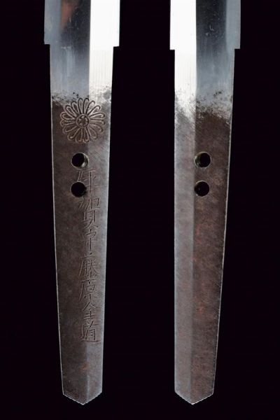 Wakizashi in shirasaya  - Asta Rare Armi Antiche e Armature da Tutto il Mondo - Associazione Nazionale - Case d'Asta italiane