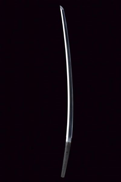 Katana in shirasaya  - Asta Rare Armi Antiche e Armature da Tutto il Mondo - Associazione Nazionale - Case d'Asta italiane