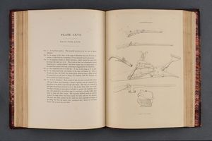 Skelton, Joseph / Meyrick, Dr.  - Asta Rare Armi Antiche e Armature da Tutto il Mondo - Associazione Nazionale - Case d'Asta italiane