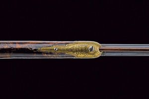 Elegante fucile alla romana  - Asta Rare Armi Antiche e Armature da Tutto il Mondo - Associazione Nazionale - Case d'Asta italiane