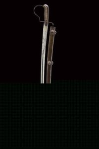 Sciabola da ufficiale con bella lama  - Asta Rare Armi Antiche e Armature da Tutto il Mondo - Associazione Nazionale - Case d'Asta italiane