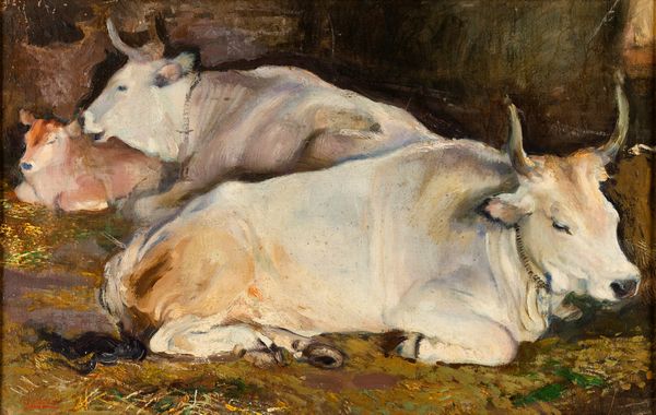 Armando Spadini : Mucche  - Asta Dipinti del XIX e XX secolo - Associazione Nazionale - Case d'Asta italiane