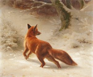 Johannes Christian Deiker - Volpe nella neve