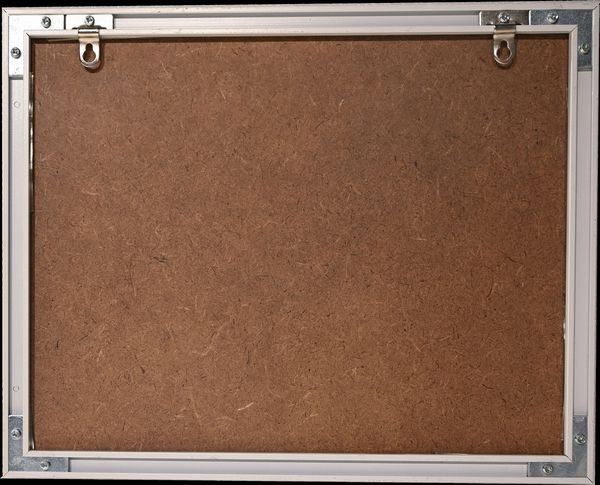 Sajid  Wajid Shaikh : Pests  - Asta Brand New - 21st Century Art - Associazione Nazionale - Case d'Asta italiane