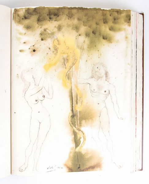 Biblia Sacra vulgatae editionis imaginibus Salvatoris Dalì.z Sumptibus ex typis Rizzoli editoris Mediolani A.D. 1967.  - Asta Libri antichi, rarit bibliografiche e prime edizioni del '900 - Associazione Nazionale - Case d'Asta italiane