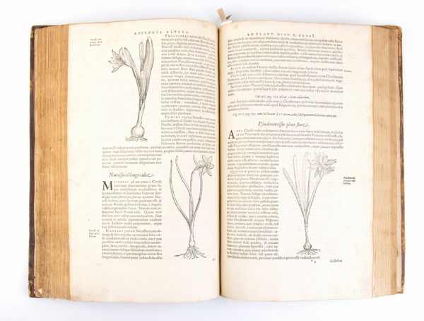 CLUSIUS CAROLUS. Exoticorum libri decem, quibus animalium, plantarum, aromatum, aliorumque peregrinorum fructuum historiae describuntur. Item Petri Bellonii Observationes, eodem Carolo Clusio interprete. 1605  - Asta Libri antichi, rarit bibliografiche e prime edizioni del '900 - Associazione Nazionale - Case d'Asta italiane