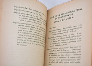BO, Nicola. LE PIANTE DA AIUOLA E DA MOSAICOLTURA. 1934.  - Asta Libri antichi, rarit bibliografiche e prime edizioni del '900 - Associazione Nazionale - Case d'Asta italiane