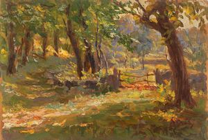 Luigi Napoleone Grady - Boschi del paradiso, Valcuvia