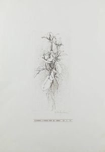 SERGIO SARONI Torino 1934 - 1991 - Rosa