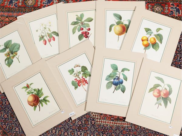 Pierre Joseph Redoute´ : Frutti  - Asta Una collezione di stampe - parte II - Associazione Nazionale - Case d'Asta italiane