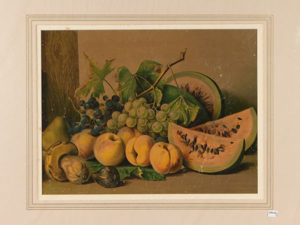 Nature morte con frutta  - Asta Una collezione di stampe - parte II - Associazione Nazionale - Case d'Asta italiane