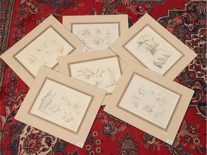 Francesco Bartolozzi - Studi anatomici