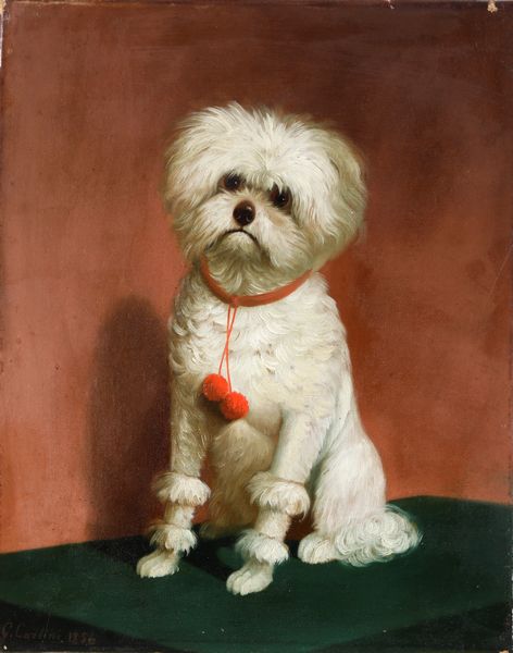 Giulio Carlini : Ritratto di cane, 1856  - Asta Dipinti del XIX e XX secolo - Associazione Nazionale - Case d'Asta italiane