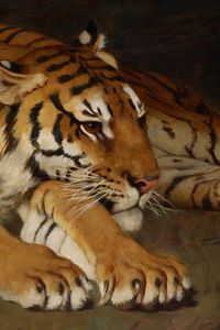 Gustave Surand : Tigre a riposo, 1929  - Asta Dipinti del XIX e XX secolo - Associazione Nazionale - Case d'Asta italiane