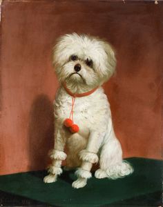 Giulio Carlini - Ritratto di cane, 1856