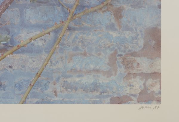 GHIRRI LUIGI (1943 - 1992) : IL PROFILO DELLE NUVOLE - SAN PIETRO DI RAVENNA, 1989  - Asta Asta 446 | GRAFICA MODERNA, FOTOGRAFIA E MULTIPLI D'AUTORE Online - Associazione Nazionale - Case d'Asta italiane