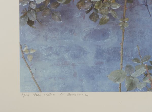 GHIRRI LUIGI (1943 - 1992) : IL PROFILO DELLE NUVOLE - SAN PIETRO DI RAVENNA, 1989  - Asta Asta 446 | GRAFICA MODERNA, FOTOGRAFIA E MULTIPLI D'AUTORE Online - Associazione Nazionale - Case d'Asta italiane