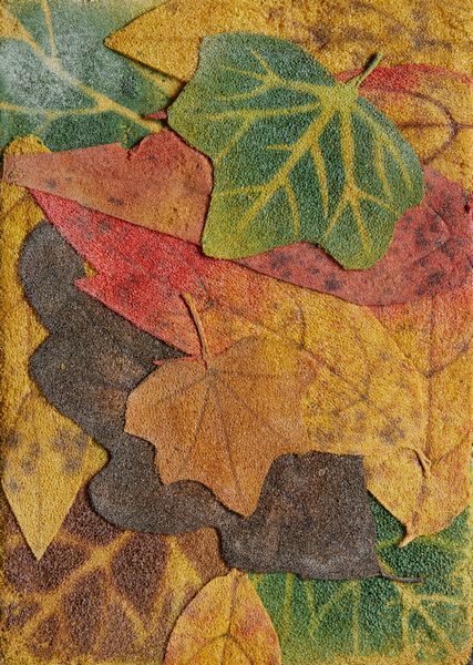 GILARDI PIERO (1942 - 2023) : FOGLIE CADUTE, 1978  - Asta Asta 446 | GRAFICA MODERNA, FOTOGRAFIA E MULTIPLI D'AUTORE Online - Associazione Nazionale - Case d'Asta italiane