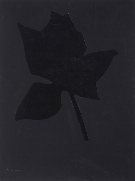 KOUNELLIS JANNIS (n. 1936) : SENZA TITOLO (FIORE NERO)  - Asta Asta 446 | GRAFICA MODERNA, FOTOGRAFIA E MULTIPLI D'AUTORE Online - Associazione Nazionale - Case d'Asta italiane
