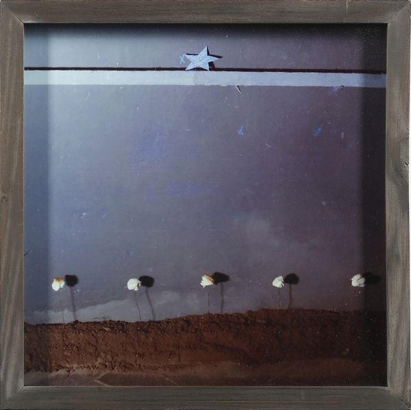 ZAZA MICHELE (n. 1948) : CELESTE, 1978  - Asta Asta 446 | GRAFICA MODERNA, FOTOGRAFIA E MULTIPLI D'AUTORE Online - Associazione Nazionale - Case d'Asta italiane