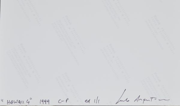 ARGENTINI GUIDO (n. 1966) : HAWAII 4, 1999  - Asta Asta 446 | GRAFICA MODERNA, FOTOGRAFIA E MULTIPLI D'AUTORE Online - Associazione Nazionale - Case d'Asta italiane